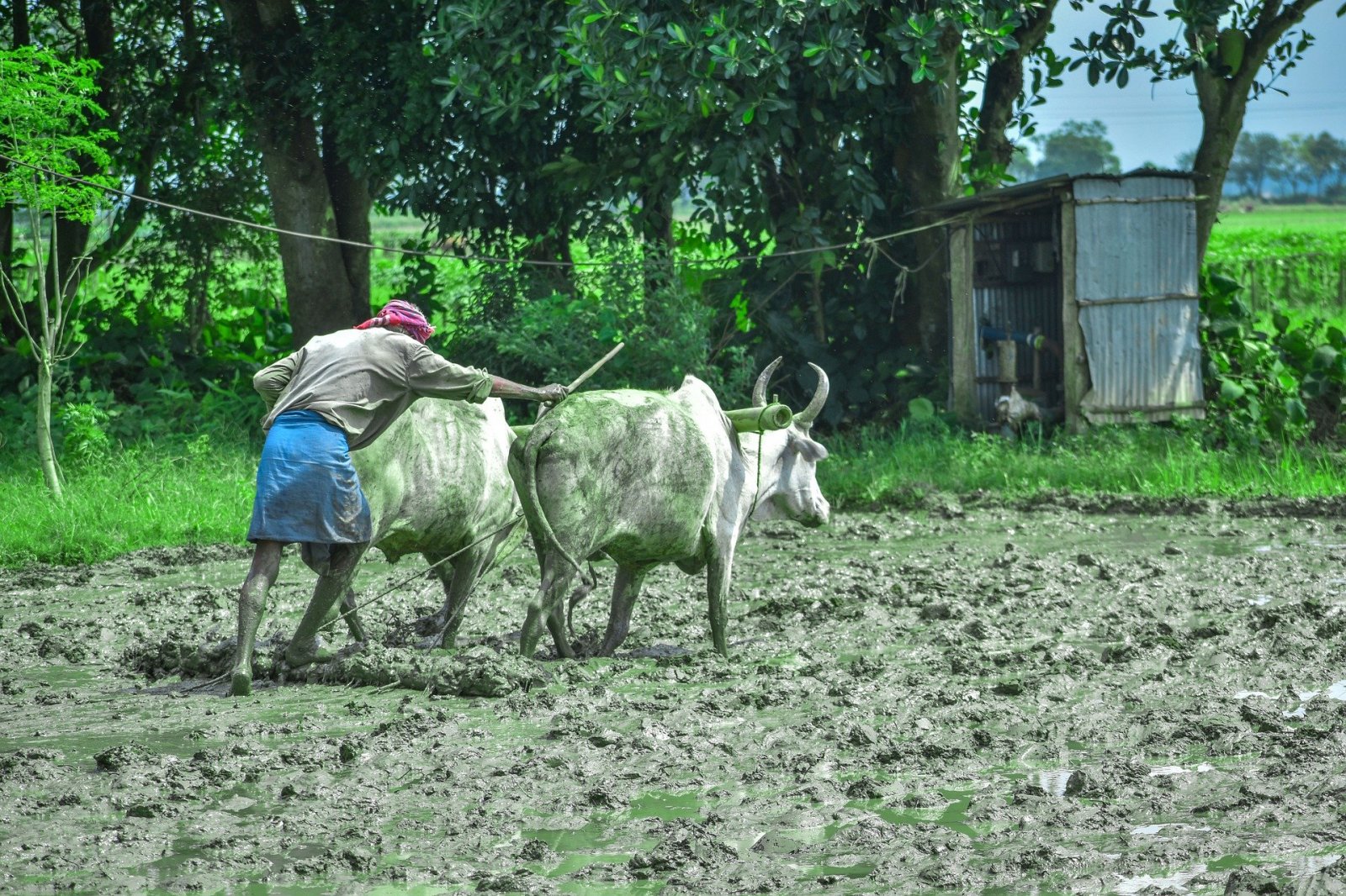 Training for Farmers